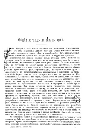 Cover of Общий взгляд на жизнь рыб